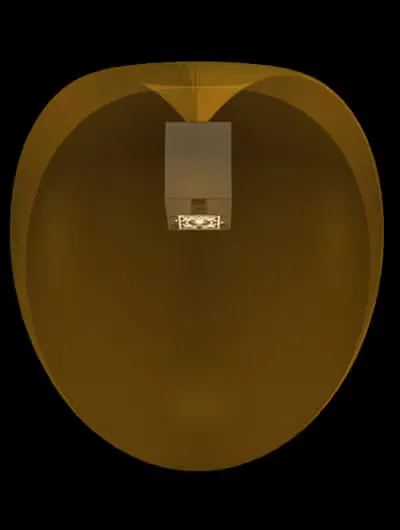 What Is Cardioid in Subwoofers?